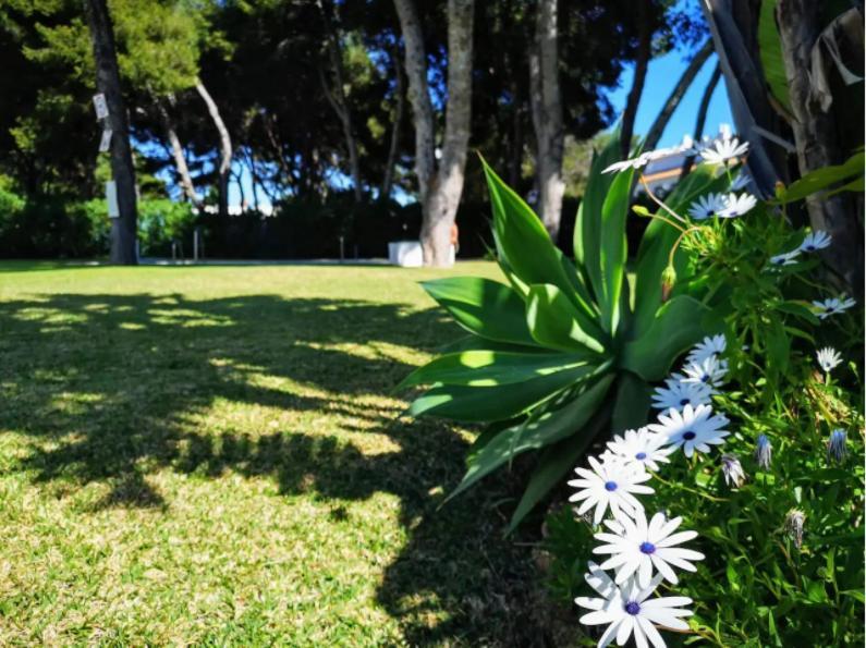 ¡Nuevo! Zona Tranquila Cerca De La Playa De La Carihuela Apartment Torremolinos Luaran gambar